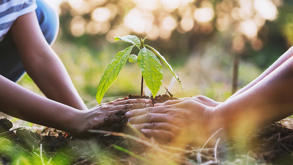 Zrównoważony rozwój 9