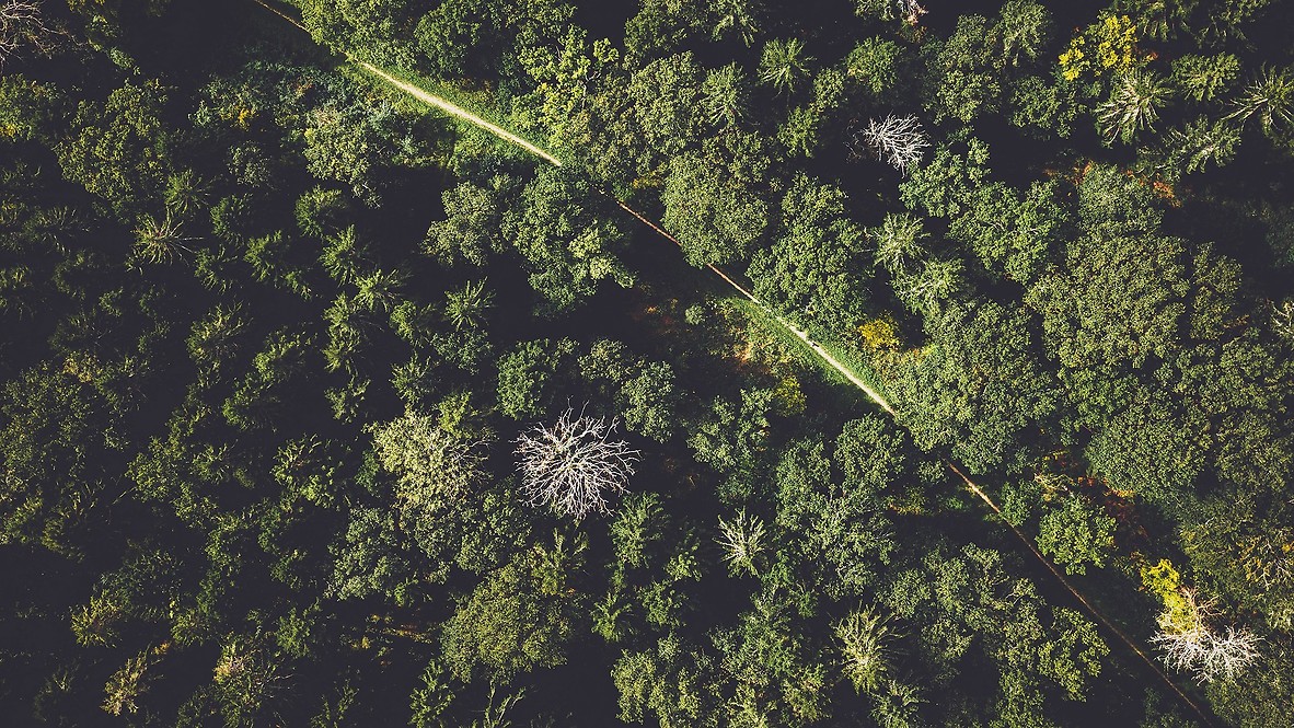 Zrównoważony rozwój 1