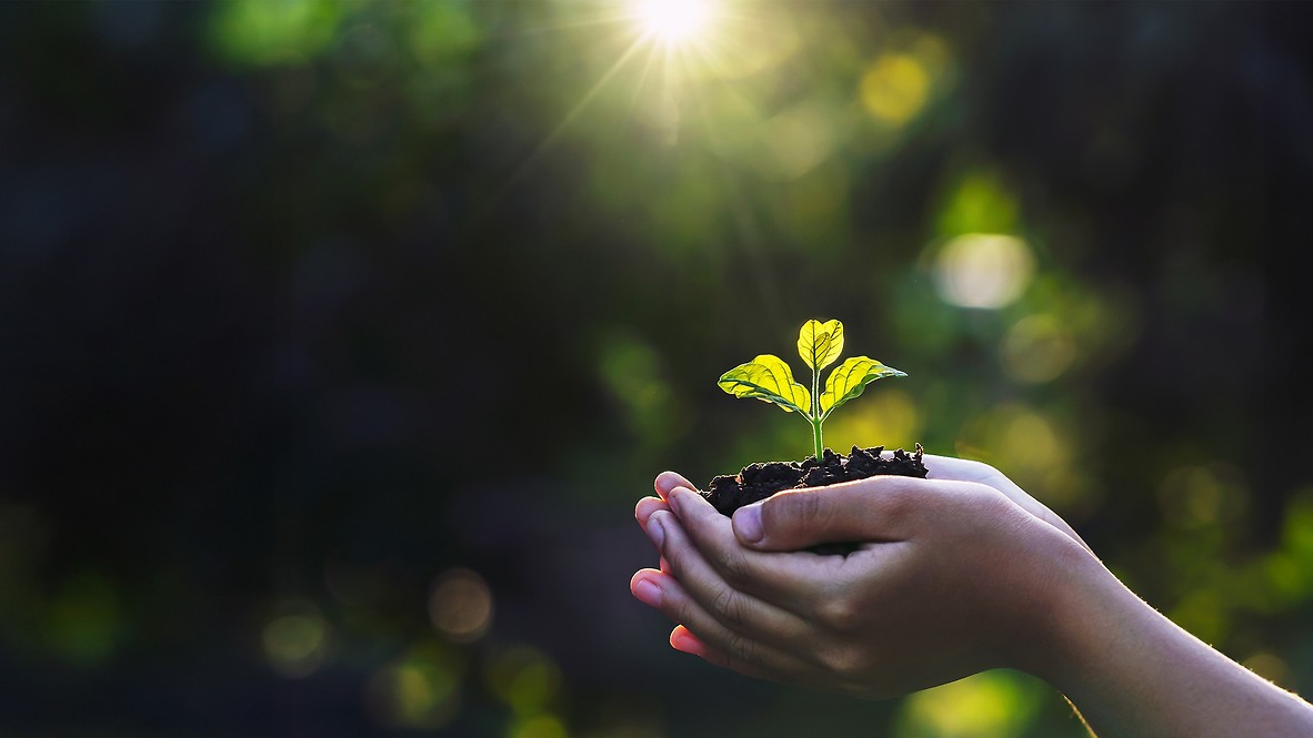 Zrównoważony rozwój 3