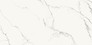 TILLITA STATUARIO WHITE POLISHED RECT 60X120 G1