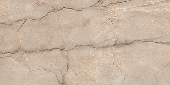 PIOVE GREY POLISHED RECT 60 x 120 G1