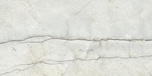 PIOVE LIGHT GREY POLISHED RECT 60X120 G1