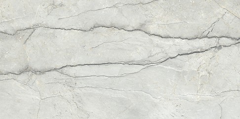PIOVE LIGHT GREY POLISHED RECT 60X120 G1