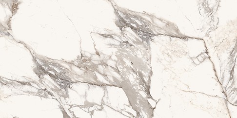 LAVIANO WHITE POLISHED RECT 60X120 G1