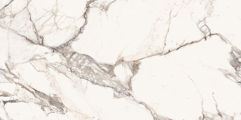 LAVIANO WHITE POLISHED RECT 60X120 G1