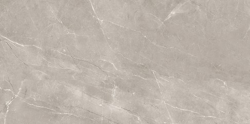 VETICANO GREY POLISHED RECT 60X120 G1