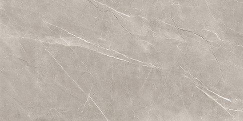 VETICANO GREY POLISHED RECT 60X120 G1