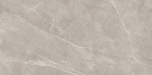 VETICANO GREY POLISHED RECT 60X120 G1