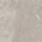 VETICANO GREY POLISHED RECT 60X60 G1