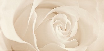 EFFECTA BEIGE INSERTO 29,7 x 60