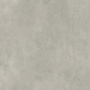 GPTU 801 LIGHT GREY 79,8x79,8 G1