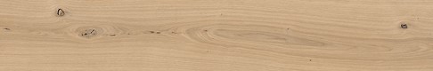 GPT1011 BEIGE MATT RECT 19,8X119,8 G1