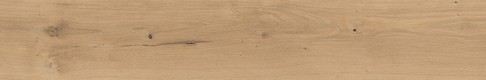GPT1011 BEIGE MATT RECT 19,8X119,8 G1