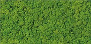 FRESH MOSS GLASS INSERTO 29,8x59,8