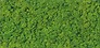 FRESH MOSS GLASS INSERTO 29,8X59,8