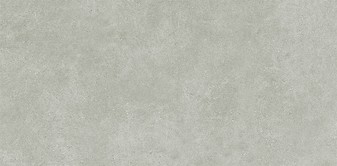 PS808 GREY MICRO RECT 29,8 x 59,8 G1