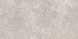 COLDY GREY MATT RECT 59,8X119,8 G1