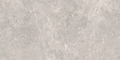 COLDY GREY MATT RECT 59,8X119,8 G1