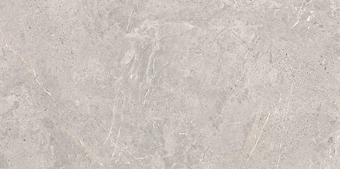 COLDY GREY MATT RECT 59,8X119,8 G1