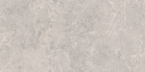 COLDY GREY MATT RECT 59,8X119,8 G1