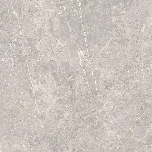 COLDY GREY MATT RECT 59,8X59,8 G1