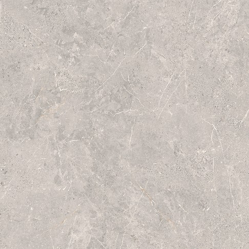 COLDY GREY MATT RECT 119,8X119,8 G1