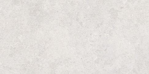 MUSSA LIGHT GREY MATT RECT 59,8X119,8 G1