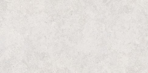 MUSSA LIGHT GREY MATT RECT 59,8X119,8 G1