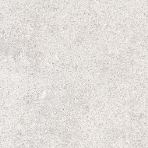 MUSSA LIGHT GREY MATT RECT 59,8X59,8 G1