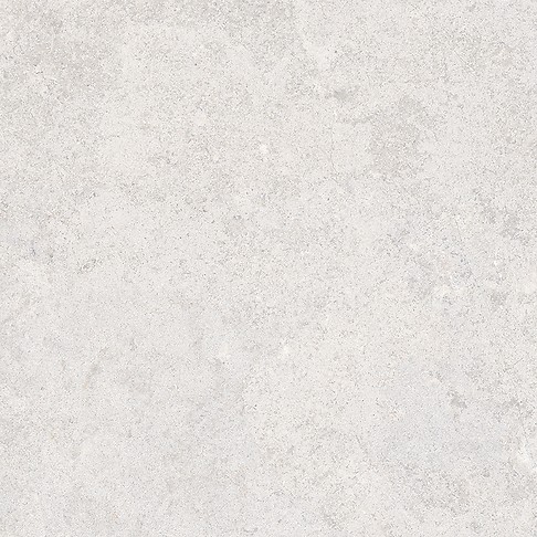 MUSSA LIGHT GREY MATT RECT 59,8X59,8 G1
