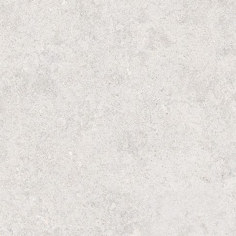 MUSSA LIGHT GREY MATT RECT 59,8X59,8 G1