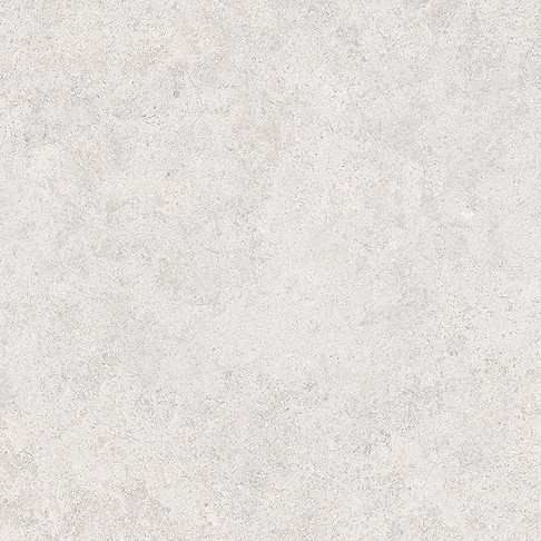 MUSSA LIGHT GREY MATT RECT 59,8X59,8 G1