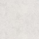 MUSSA LIGHT GREY MATT RECT 119,8X119,8 G1
