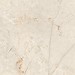 SINKLER BEIGE MATT RECT 59,8X59,8 G1