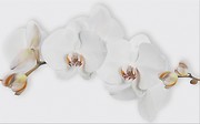 MARISOL WHITE INSERTO FLOWER 25x40